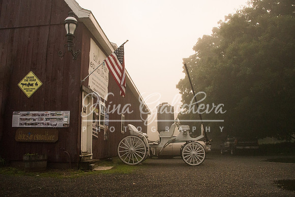 The White Carriage in the Fog