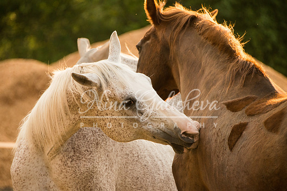 The grooming moment