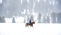 320-Ranch-Skijor