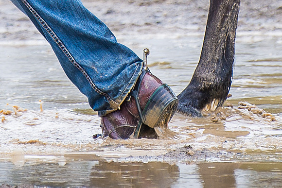 Walking in mud, UCHC, NYSHC, horse, cowboy